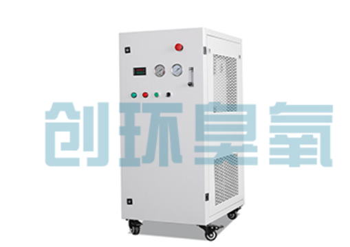 成安石斑鱼养殖水质调控完整指南:臭氧发生器配置与操作步骤