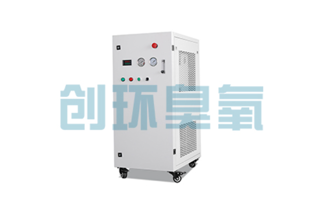 成安比传统换水更高效?臭氧发生器在石斑鱼养殖中的水质净化原理解析