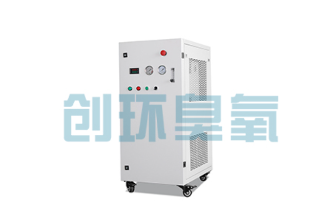 成安比传统换水更高效？臭氧发生器在石斑鱼养殖中的水质净化原理解析